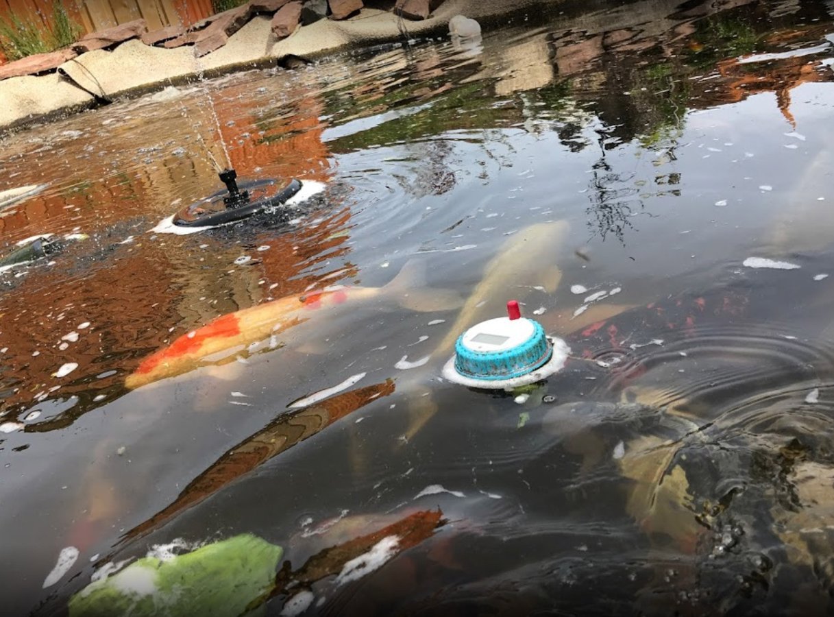 Søger investorer til stort koicenter på Sjælland