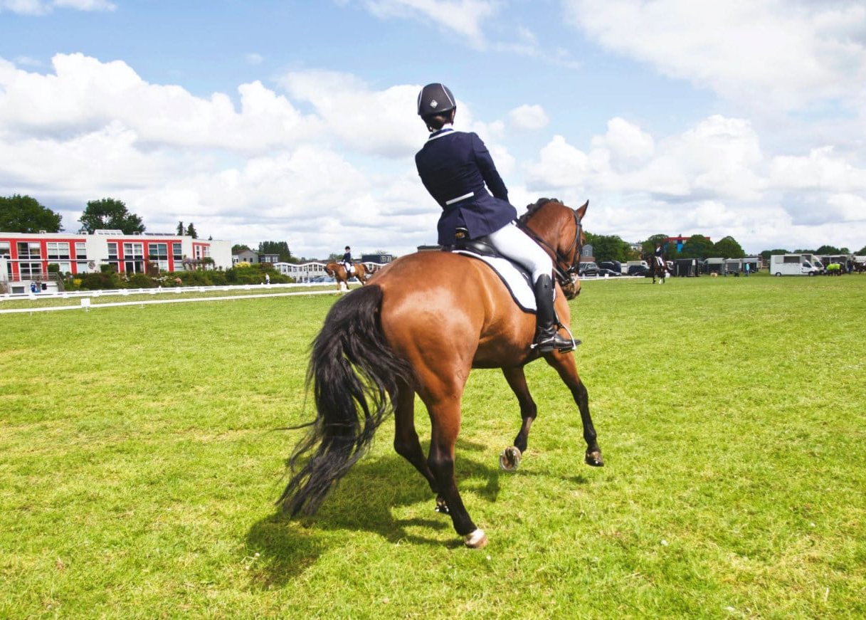 Eksklusiv opstaldning, træning og stævner/kurser ligger selv 9 mio kr. i projektet