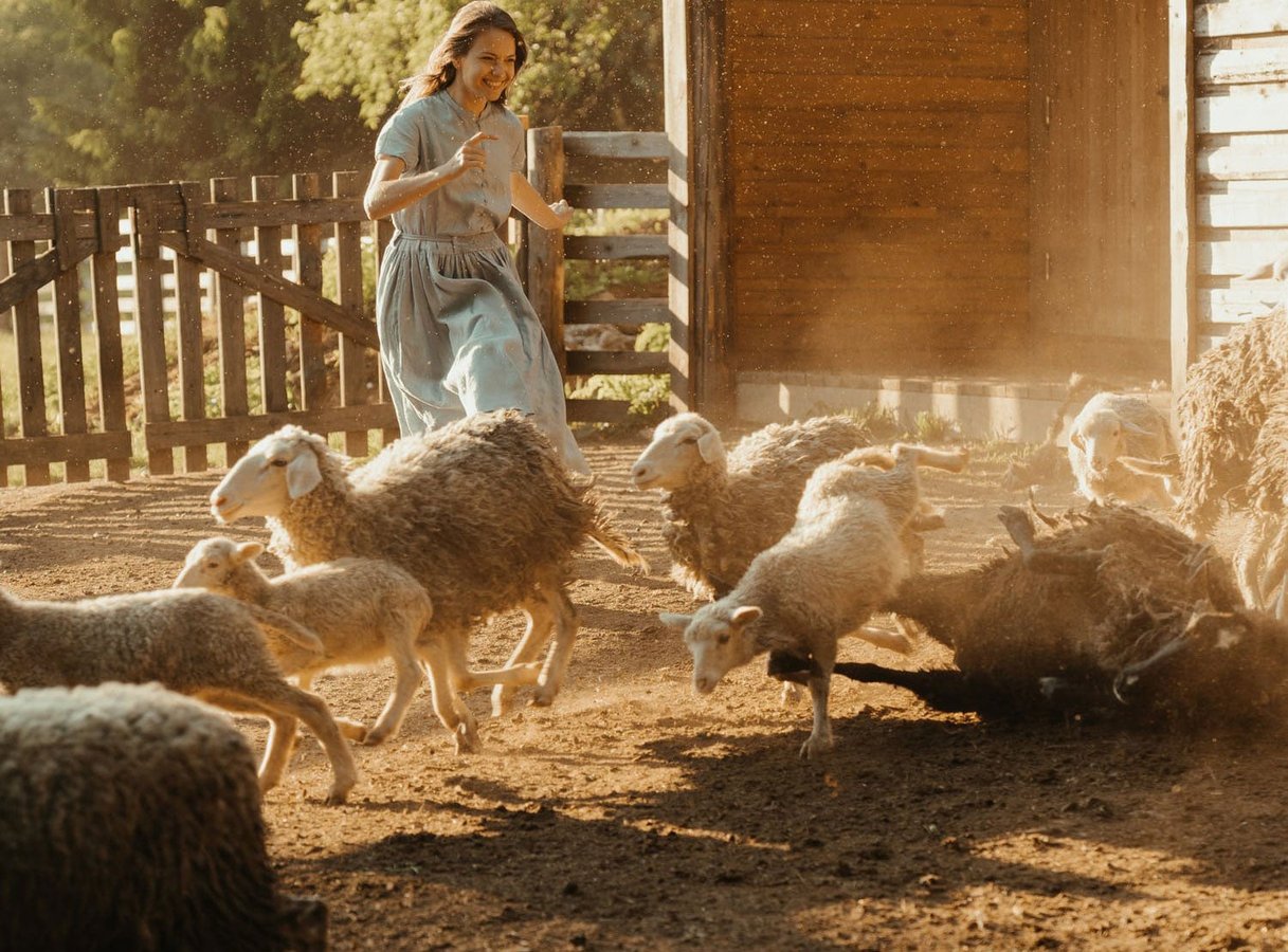 Feriegård med bæredygtig profil søger startkapital