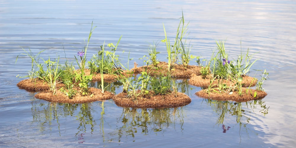 Naturbaserede løsninger til bæredygtige byer