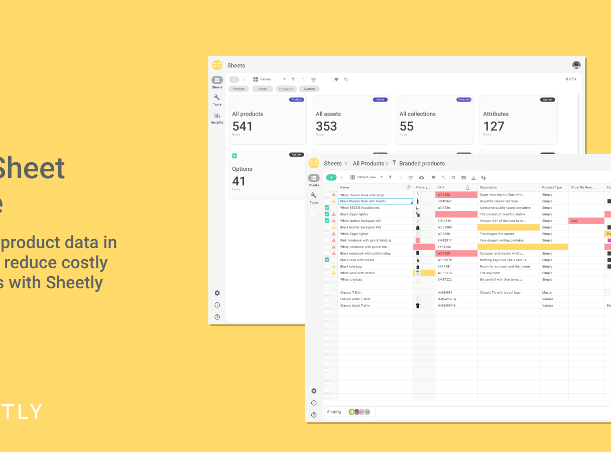International software selskab søger ambitiøs investor