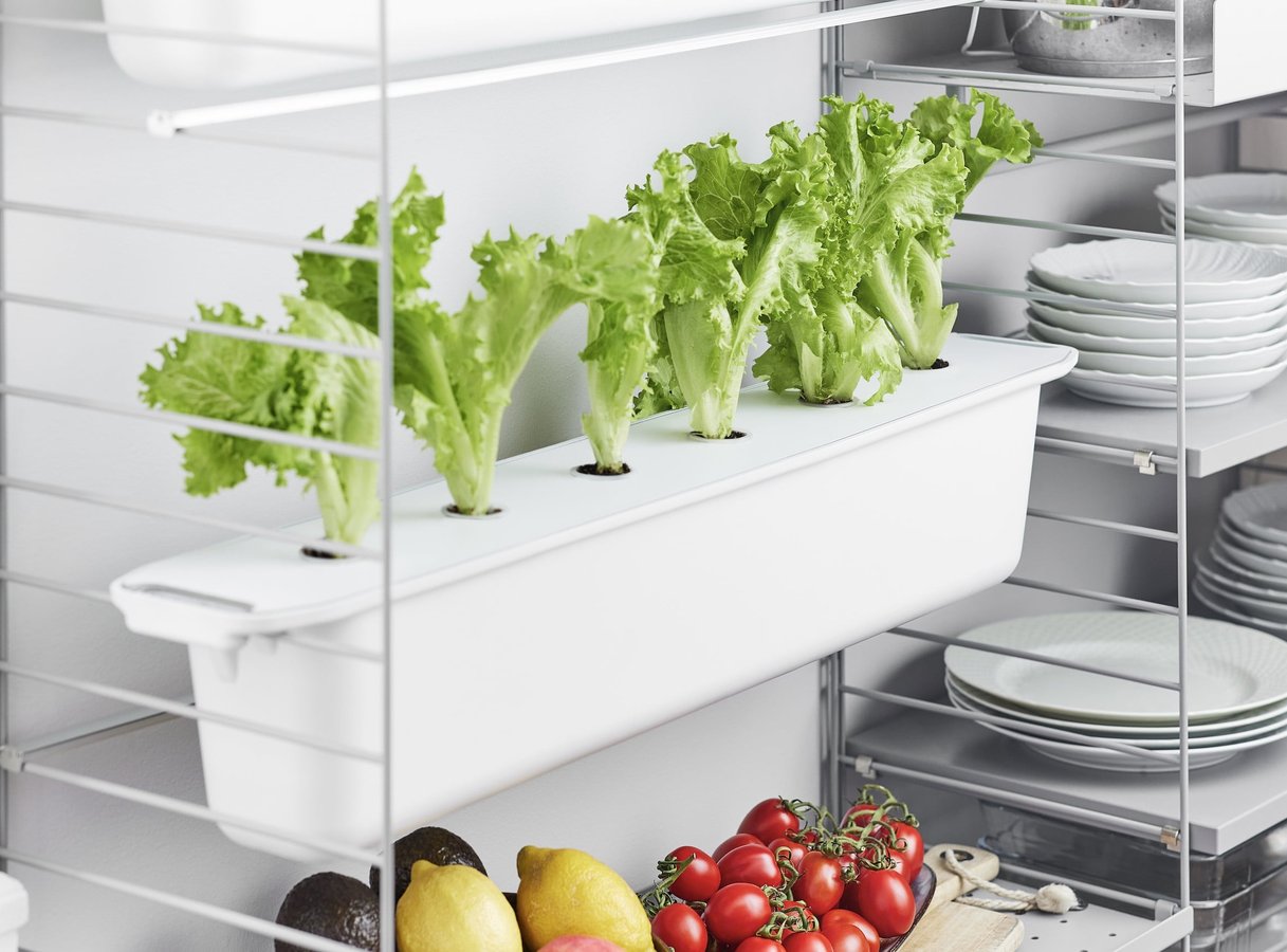 B-bylon - designful farming seeking investor