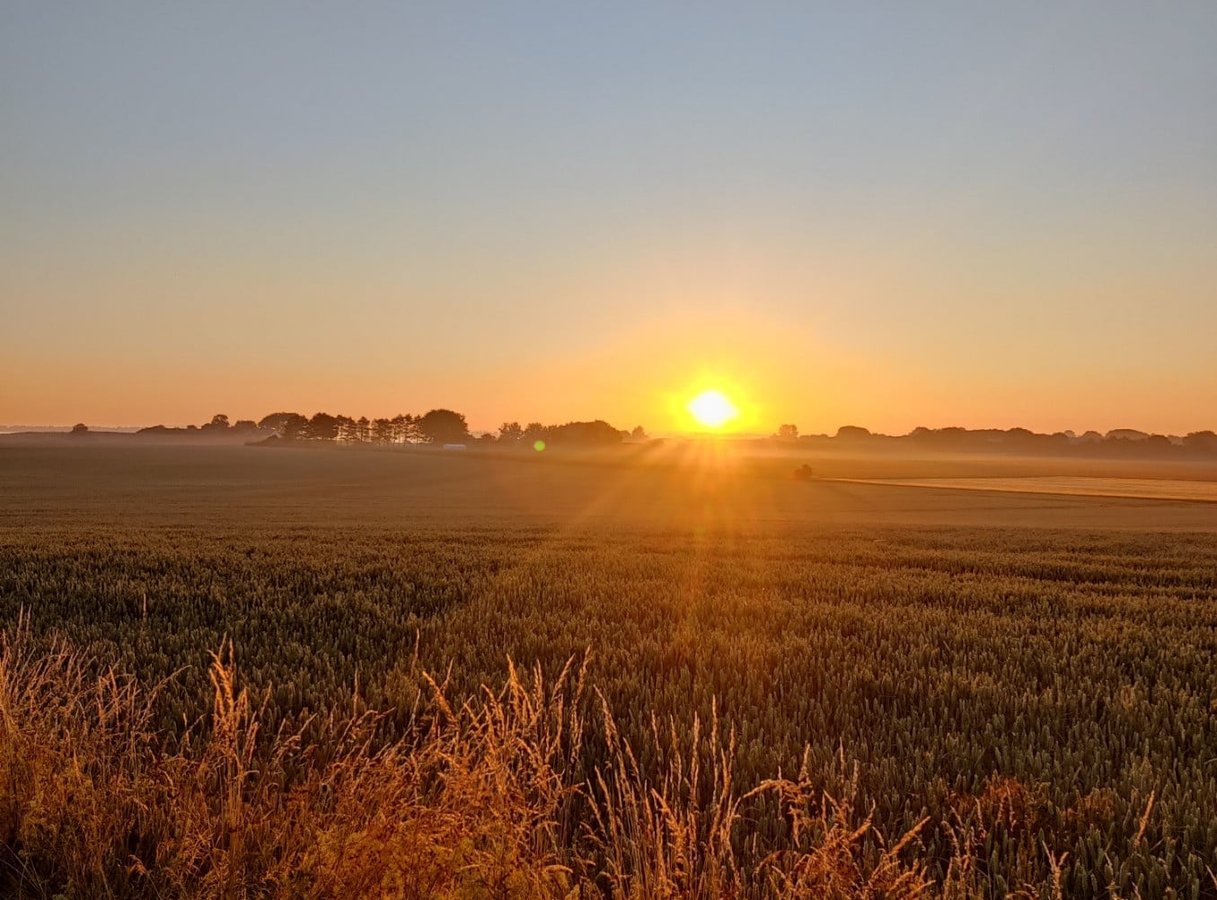 Søger Medinvestor til Opbygning af større virksomhed og fabrikker,  til produktion af clean tech / Energy