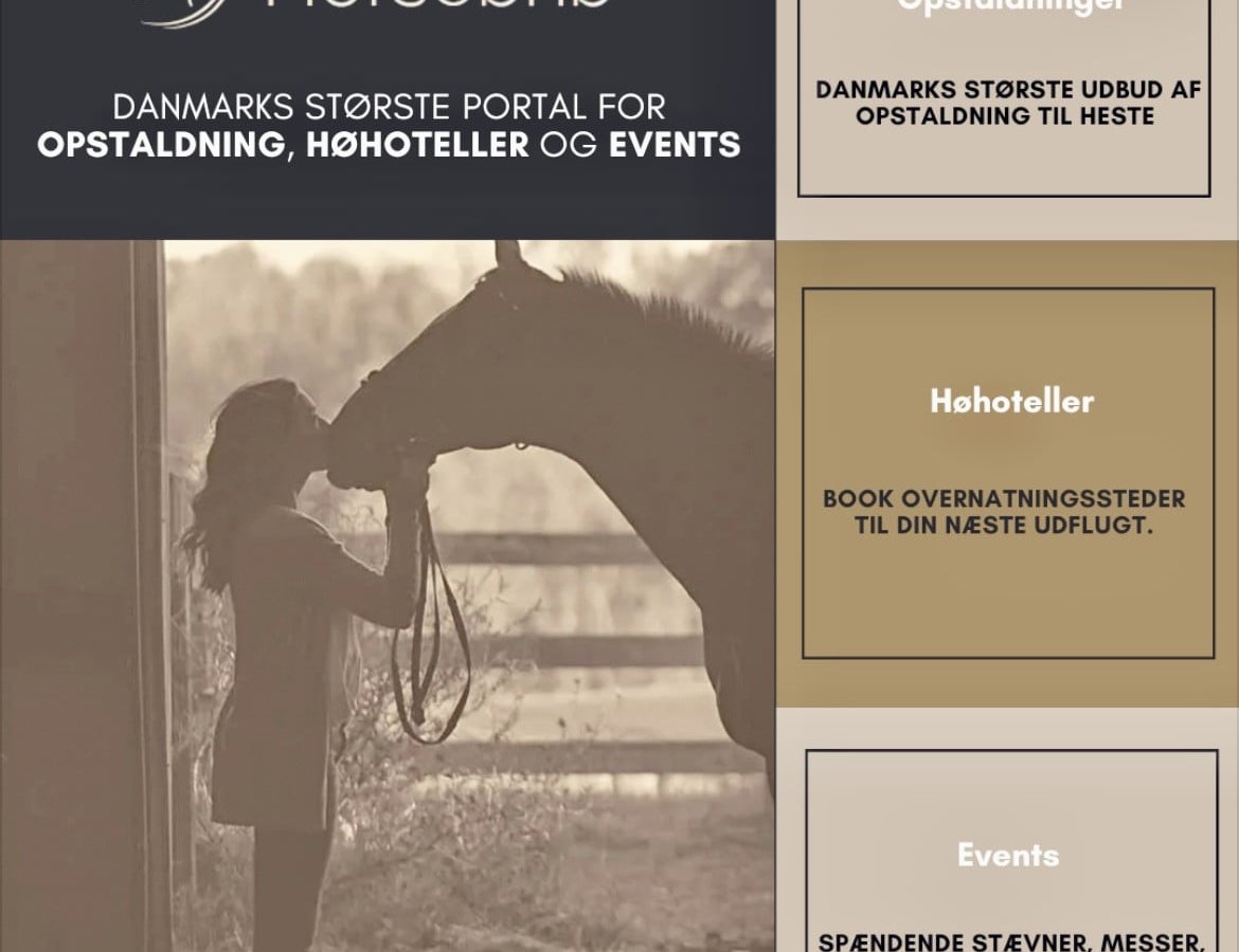 Horsebnb - EU’s største portal for opstaldning mm.