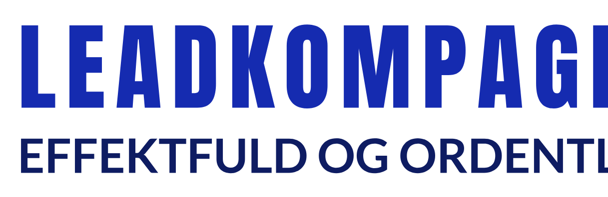 Leadkompagniet. Søger investor der skal skabe økonomisk ro til vækst.