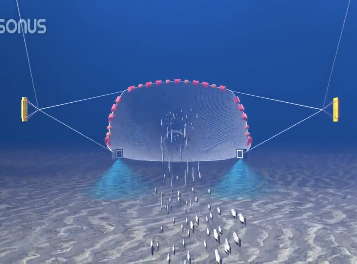 Sonus Fishery, bæredygtigt bundtrawls fiskeri.