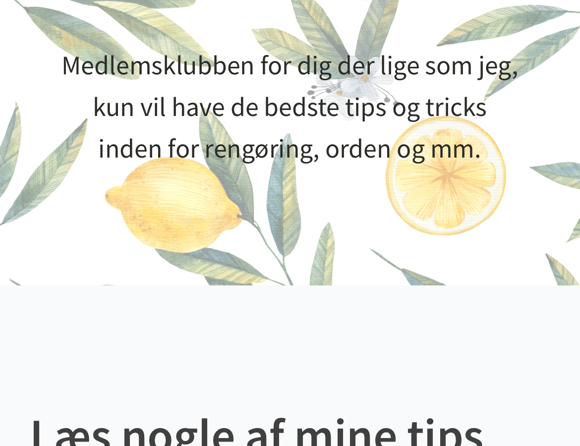 Investér i DK bæredygtige rengøringsunivers – Husmortip