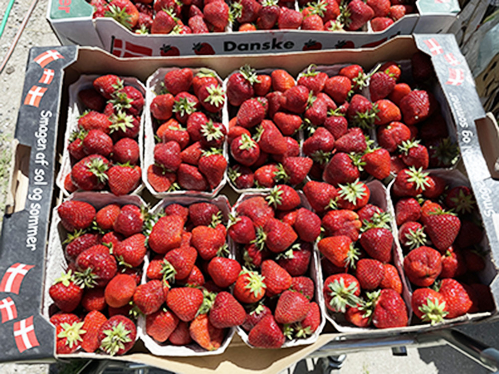 Strandgårdens Gårdbutik