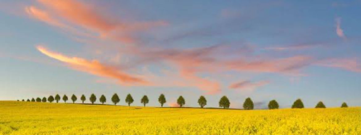 Søger investor til køb af landbrugsjord