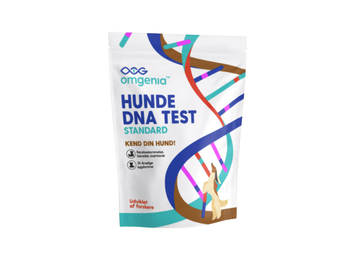 Omgenia sælger genetiske tests til hunde til hjemmebrug