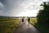 Walk with dogs App søger investor