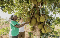 Tasty Coconut er klar til at tage nordeuropa med storm