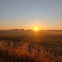 Søger Medinvestor til Opbygning af større virksomhed og fabrikker,  til produktion af clean tech / Energy