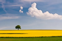 Landbrugsvirksomhed